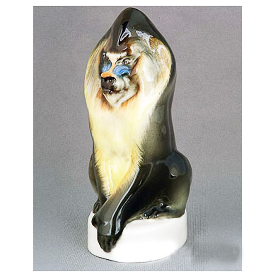 lomonosov racoon